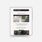 Phoenicia Email Templates